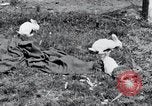 Image of people in rural area United States USA, 1935, second 22 stock footage video 65675032230