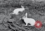 Image of people in rural area United States USA, 1935, second 25 stock footage video 65675032230