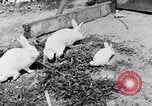 Image of people in rural area United States USA, 1935, second 29 stock footage video 65675032230