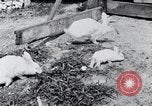 Image of people in rural area United States USA, 1935, second 30 stock footage video 65675032230
