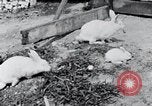 Image of people in rural area United States USA, 1935, second 31 stock footage video 65675032230