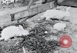 Image of people in rural area United States USA, 1935, second 32 stock footage video 65675032230