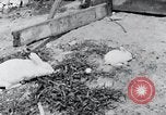 Image of people in rural area United States USA, 1935, second 33 stock footage video 65675032230