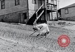 Image of people in rural area United States USA, 1935, second 44 stock footage video 65675032230