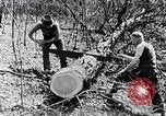 Image of people in rural area United States USA, 1935, second 7 stock footage video 65675032232