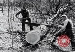Image of people in rural area United States USA, 1935, second 11 stock footage video 65675032232