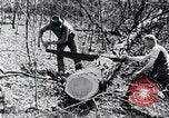 Image of people in rural area United States USA, 1935, second 12 stock footage video 65675032232