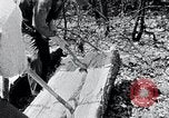 Image of people in rural area United States USA, 1935, second 16 stock footage video 65675032232