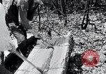 Image of people in rural area United States USA, 1935, second 17 stock footage video 65675032232