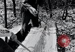 Image of people in rural area United States USA, 1935, second 22 stock footage video 65675032232