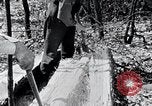 Image of people in rural area United States USA, 1935, second 23 stock footage video 65675032232