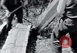 Image of people in rural area United States USA, 1935, second 26 stock footage video 65675032232