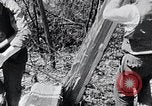 Image of people in rural area United States USA, 1935, second 28 stock footage video 65675032232