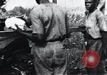 Standbild Schlafkrankheit Kongo, 1940, aus Sekunde 28 historischem Filmmaterial Videoclip 65675032246