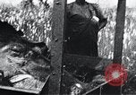 Standbild Schlafkrankheit Kongo, 1940, aus Sekunde 39 historischem Filmmaterial Videoclip 65675032246