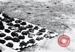 Standbild Schlafkrankheit Kongo, 1940, aus Sekunde 49 historischem Filmmaterial Videoclip 65675032246