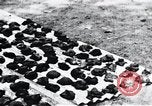 Standbild Schlafkrankheit Kongo, 1940, aus Sekunde 50 historischem Filmmaterial Videoclip 65675032246