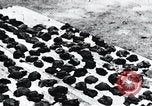 Standbild Schlafkrankheit Kongo, 1940, aus Sekunde 51 historischem Filmmaterial Videoclip 65675032246