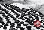 Standbild Schlafkrankheit Kongo, 1940, aus Sekunde 52 historischem Filmmaterial Videoclip 65675032246