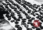 Standbild Schlafkrankheit Kongo, 1940, aus Sekunde 56 historischem Filmmaterial Videoclip 65675032246