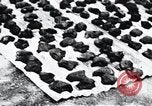 Standbild Schlafkrankheit Kongo, 1940, aus Sekunde 57 historischem Filmmaterial Videoclip 65675032246