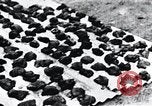 Standbild Schlafkrankheit Kongo, 1940, aus Sekunde 58 historischem Filmmaterial Videoclip 65675032246