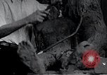 Standbild Negro Künstler United States USA, 1937, aus Sekunde 20 historischem Filmmaterial Videoclip 65675032248