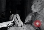 Standbild Negro Künstler United States USA, 1937, aus Sekunde 30 historischem Filmmaterial Videoclip 65675032248