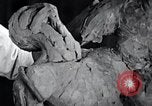 Standbild Negro Künstler United States USA, 1937, aus Sekunde 33 historischem Filmmaterial Videoclip 65675032248