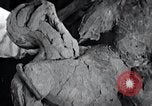 Standbild Negro Künstler United States USA, 1937, aus Sekunde 34 historischem Filmmaterial Videoclip 65675032248