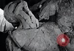 Standbild Negro Künstler United States USA, 1937, aus Sekunde 35 historischem Filmmaterial Videoclip 65675032248