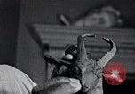 Standbild Afroamerikanische Künstlerin Augusta Savage United States USA, 1937, aus Sekunde 51 historischem Filmmaterial Videoclip 65675032252