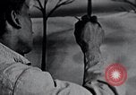 Standbild Negro Künstler United States USA, 1937, aus Sekunde 48 historischem Filmmaterial Videoclip 65675032253