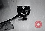 Image of African American art and books New York City USA, 1937, second 21 stock footage video 65675032258
