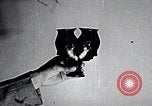 Image of African American art and books New York City USA, 1937, second 25 stock footage video 65675032258