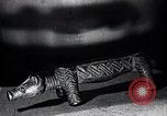 Image of African American art and books New York City USA, 1937, second 37 stock footage video 65675032258