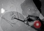 Image of African American artists New York United States USA, 1937, second 52 stock footage video 65675032263
