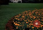 Standbild Marigolds in Bloom Washington DC USA, 1974, aus Sekunde 8 historischem Filmmaterial Videoclip 65675032288