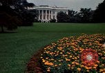 Standbild Marigolds in Bloom Washington DC USA, 1974, aus Sekunde 9 historischem Filmmaterial Videoclip 65675032288