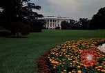 Standbild Marigolds in Bloom Washington DC USA, 1974, aus Sekunde 10 historischem Filmmaterial Videoclip 65675032288