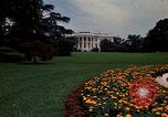 Standbild Marigolds in Bloom Washington DC USA, 1974, aus Sekunde 11 historischem Filmmaterial Videoclip 65675032288