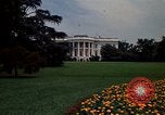 Standbild Marigolds in Bloom Washington DC USA, 1974, aus Sekunde 16 historischem Filmmaterial Videoclip 65675032288
