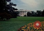 Standbild Marigolds in Bloom Washington DC USA, 1974, aus Sekunde 24 historischem Filmmaterial Videoclip 65675032288