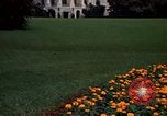Standbild Marigolds in Bloom Washington DC USA, 1974, aus Sekunde 51 historischem Filmmaterial Videoclip 65675032288