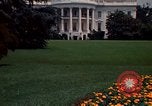 Standbild Marigolds in Bloom Washington DC USA, 1974, aus Sekunde 52 historischem Filmmaterial Videoclip 65675032288