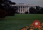 Standbild Marigolds in Bloom Washington DC USA, 1974, aus Sekunde 53 historischem Filmmaterial Videoclip 65675032288