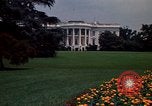 Standbild Marigolds in Bloom Washington DC USA, 1974, aus Sekunde 54 historischem Filmmaterial Videoclip 65675032288