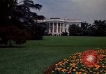 Standbild Marigolds in Bloom Washington DC USA, 1974, aus Sekunde 55 historischem Filmmaterial Videoclip 65675032288