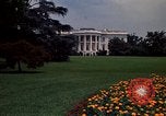 Standbild Marigolds in Bloom Washington DC USA, 1974, aus Sekunde 58 historischem Filmmaterial Videoclip 65675032288