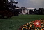 Standbild Marigolds in Bloom Washington DC USA, 1974, aus Sekunde 59 historischem Filmmaterial Videoclip 65675032288